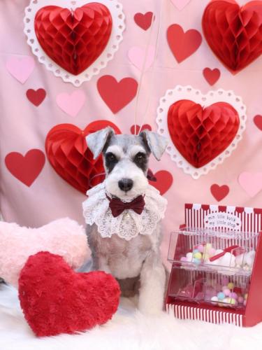 20240203ふたばちゃん 